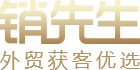 销先生logo