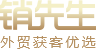 销先生logo
